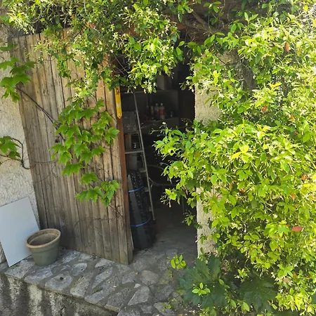 Maison Proche Du Port De